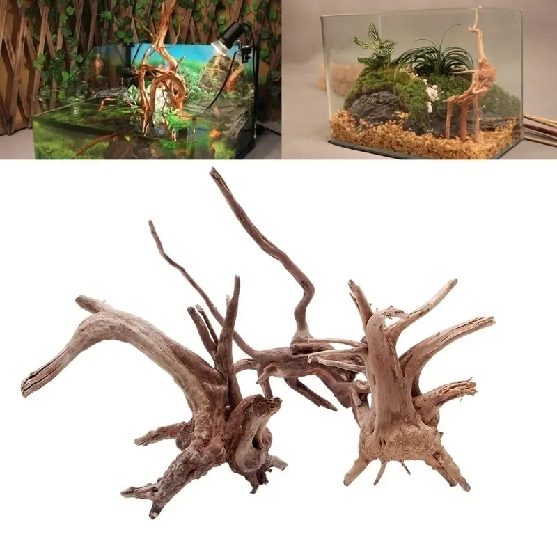 Aquarium Planted Wood - Tronc d'Arbre Naturel en Bois Flotté