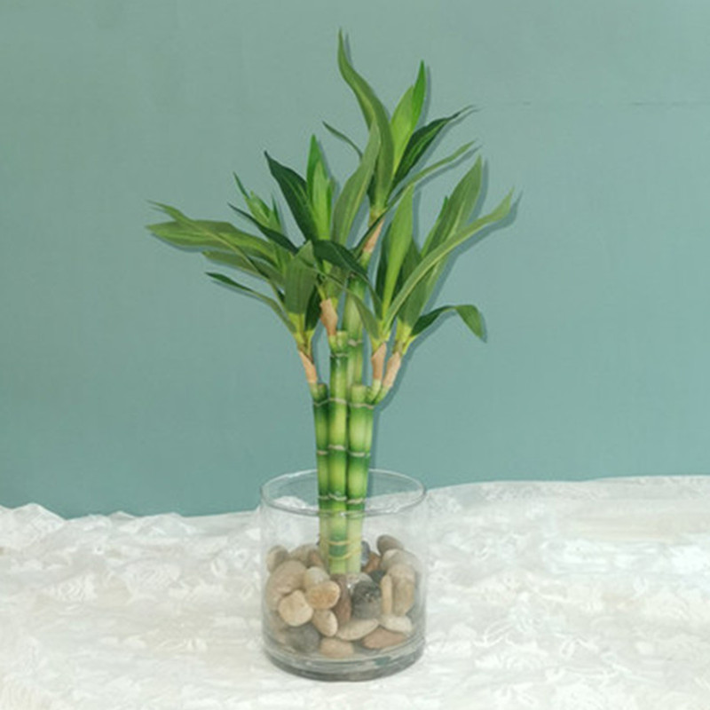 Aquarium Planted Tank - Nouvelle plante artificielle Bambou porte-bonheur de
