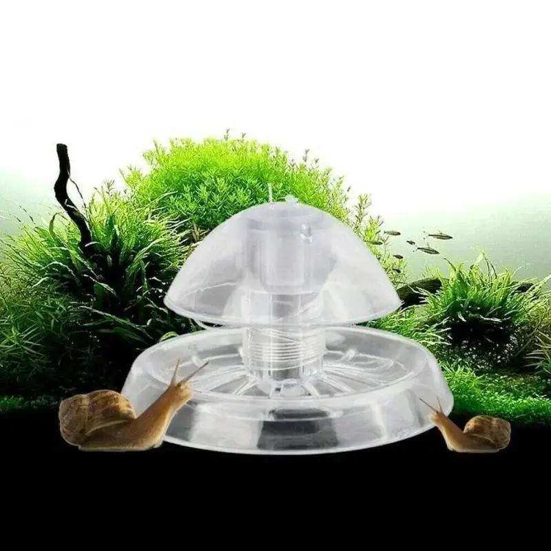 Aquarium Planted Tank - Nouvelle boîte piège à escargots en