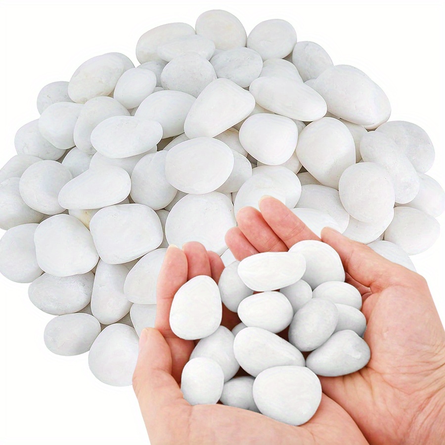 Aquarium Planted Tank - Cerfsets naturels blancs hautement polis, 200/400g,