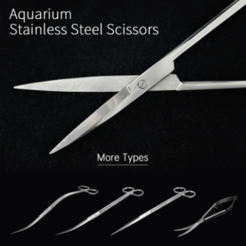 Planted Aquarium Parameters - Ciseaux aquatiques en acier inoxydable Week