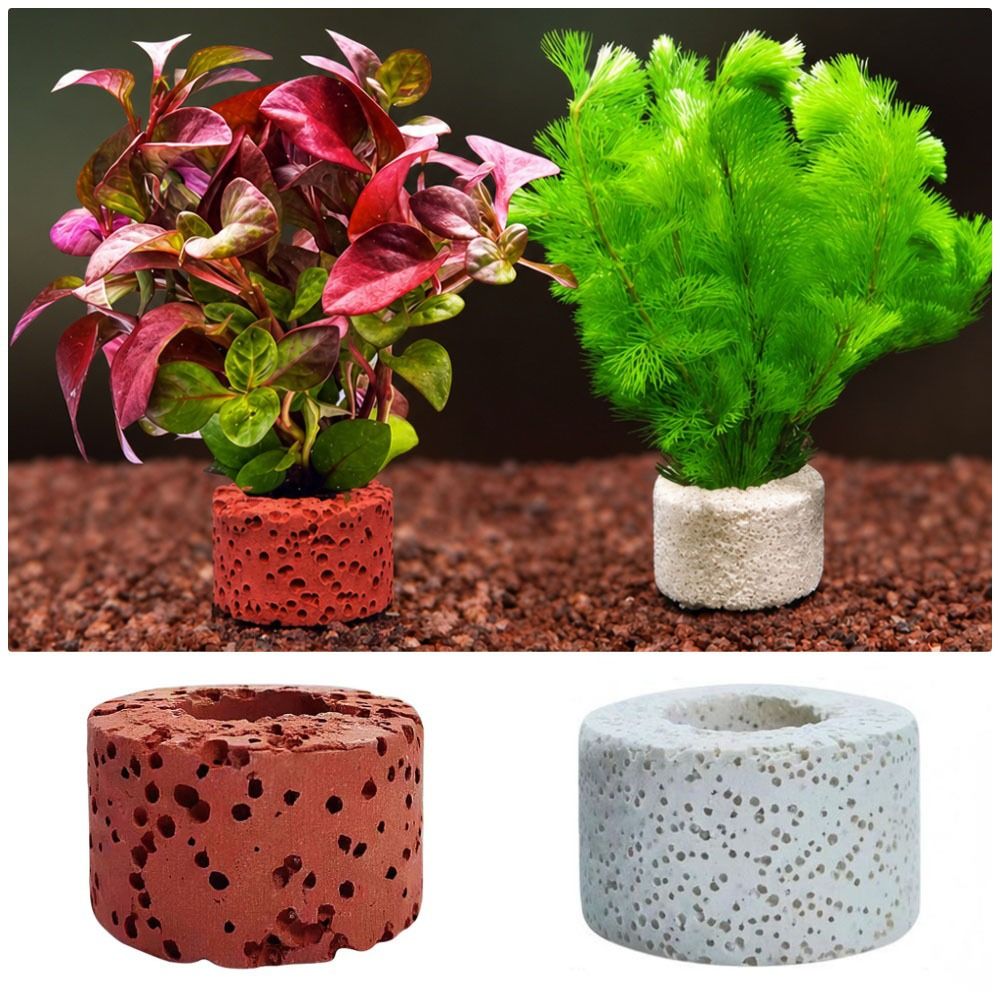 Planted Aquarium Pictures - Lot de 10 anneaux lestés pour