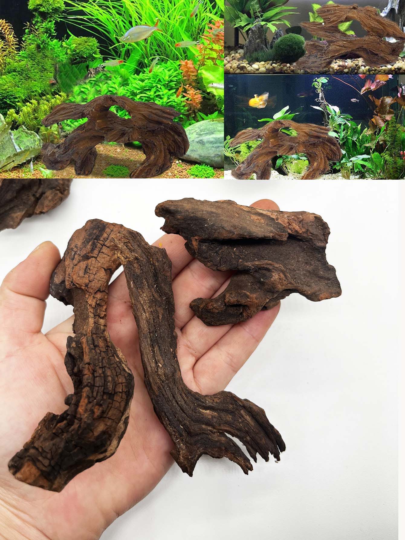 3 pièces ﻿ Ensemble de bois fl - Aquarium Planted Wood avis et prix