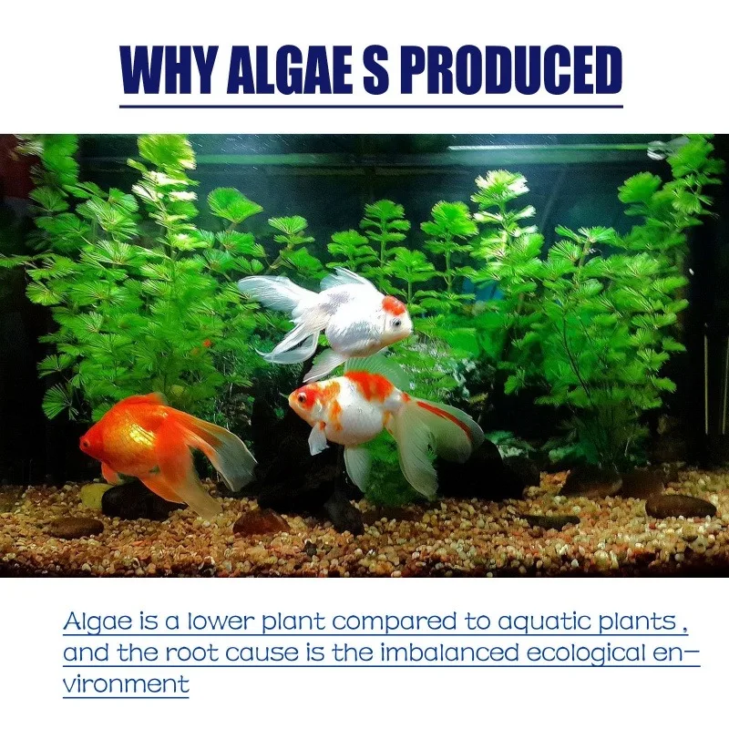 Algicide haute efficacité 50g  - Planted Aquarium Parameters avis et prix