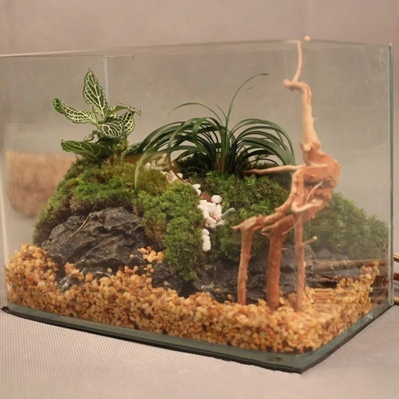 Tronc d'Arbre Naturel en Bois  - Aquarium Planted Wood avis et prix