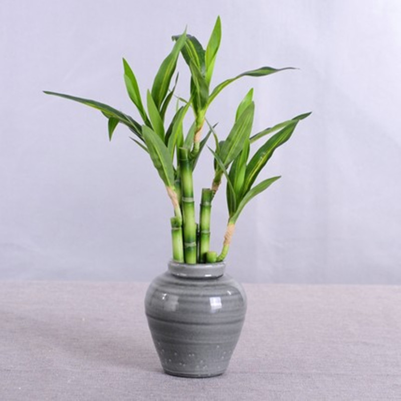 Nouvelle plante artificielle B - Aquarium Planted Tank avis et prix