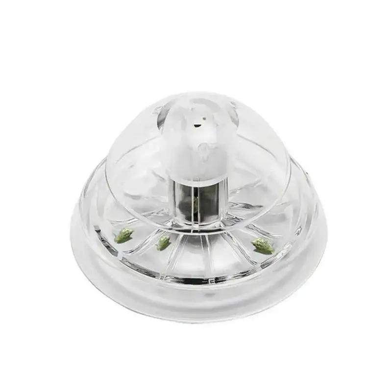 Nouvelle boîte piège à escargo - Aquarium Planted Tank avis et prix