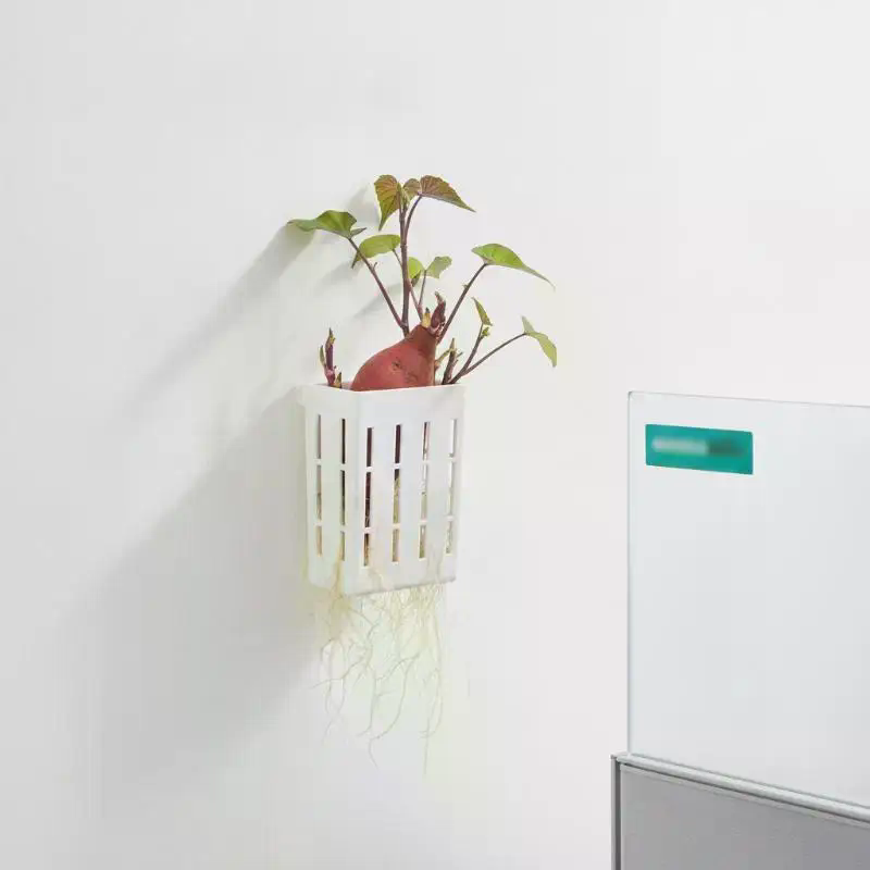 1 pièce Panier de support hydr - Aquarium Planted Tank avis et prix