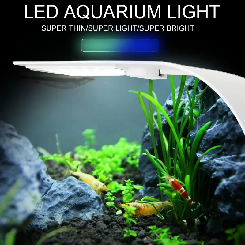 Très Mince Led Aquarium Lampe  - Planted Aquarium Pictures avis et prix