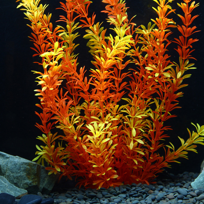 Plantes tropicales artificiell - Aquarium Planted Tank avis et prix