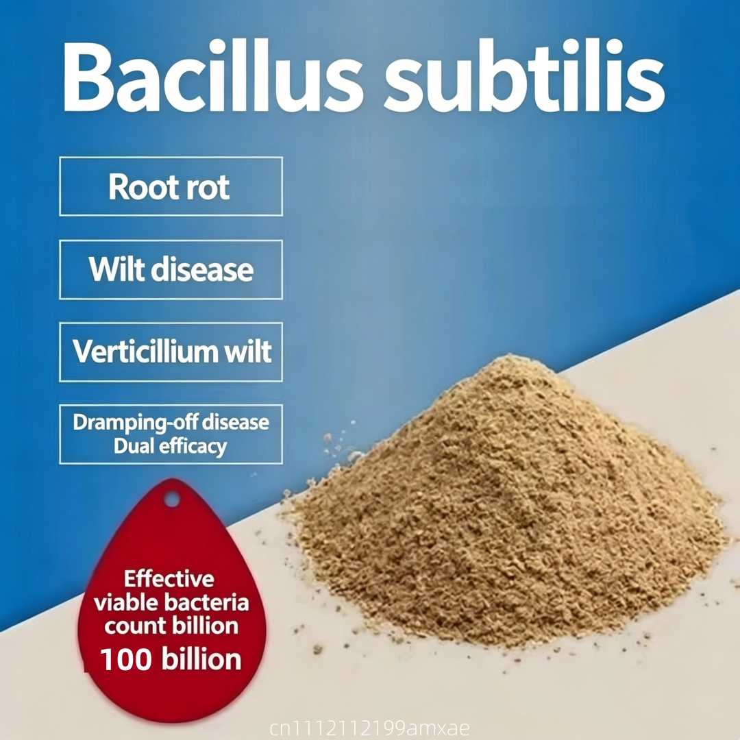 Poudre de Bacillus Subtilis à  - Aquarium Plant Diseases avis et prix