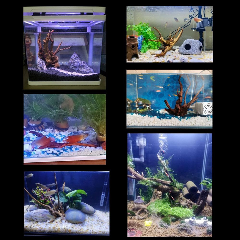 Bois flotté naturel de 20-25 c - Aquarium Planted Wood avis et prix