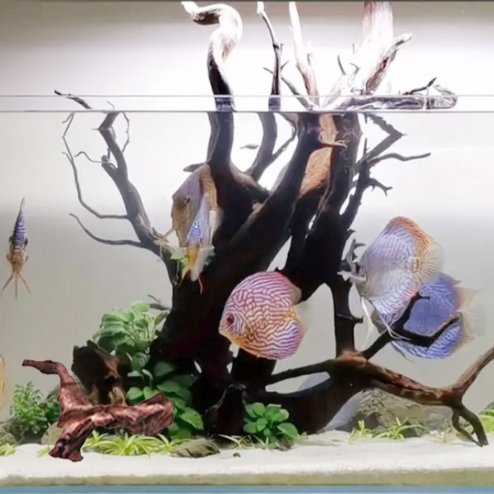 Tronc de bois flotté naturel e - Aquarium Planted Wood avis et prix