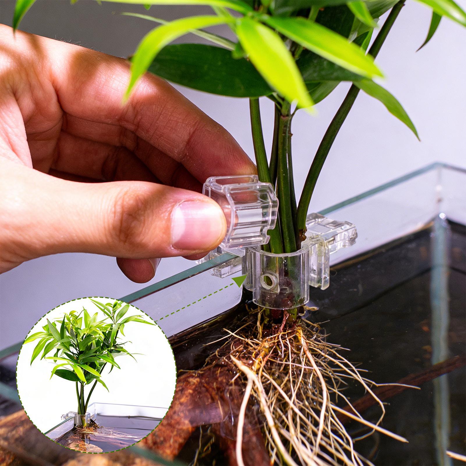 6 supports de plantes pour aqu - Aquarium Plant Diseases avis et prix