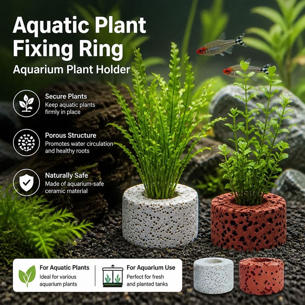 Lot de 10 anneaux lestés pour  - Planted Aquarium Pictures avis et prix