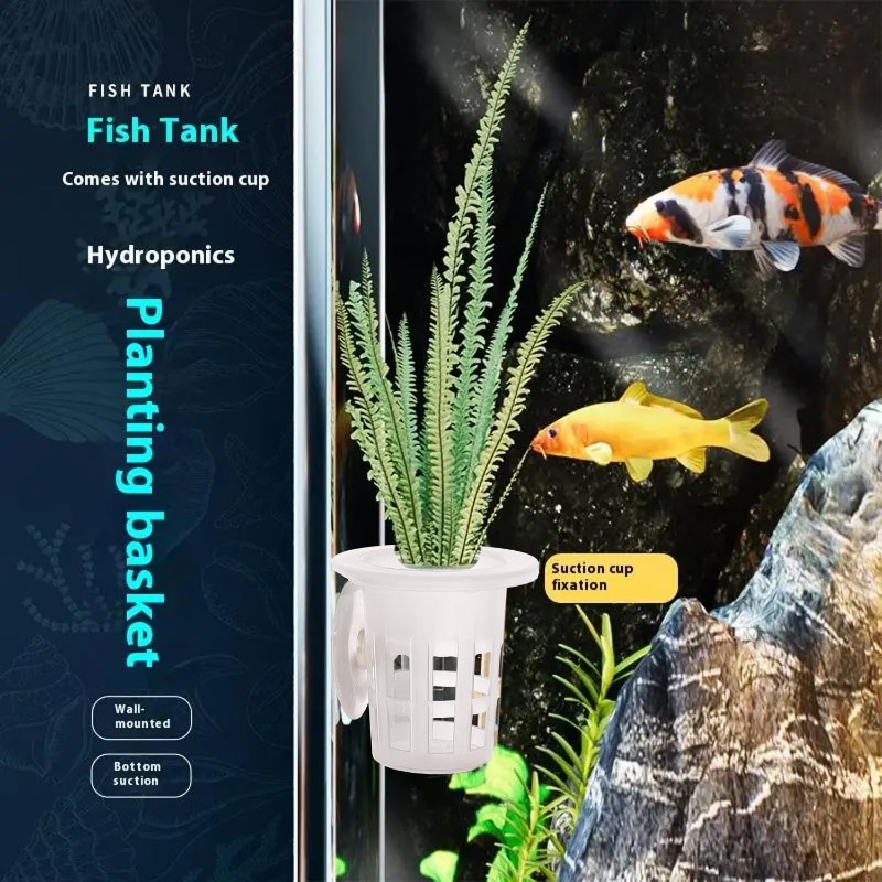 Gobelets de plantation en plas - Aquarium Plant Diseases avis et prix