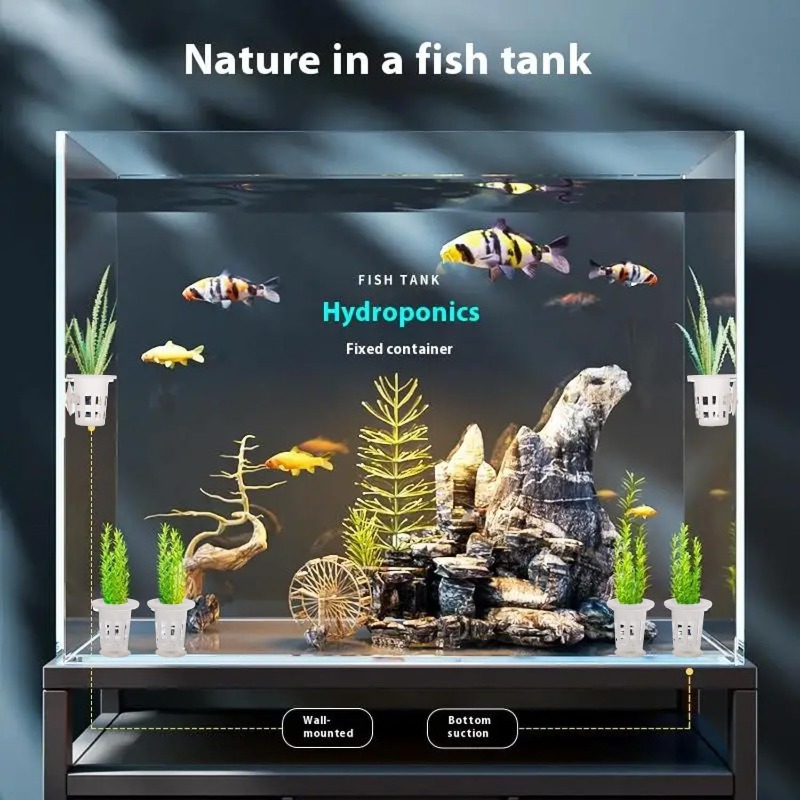 Gobelets de plantation en plas - Aquarium Plant Diseases avis et prix