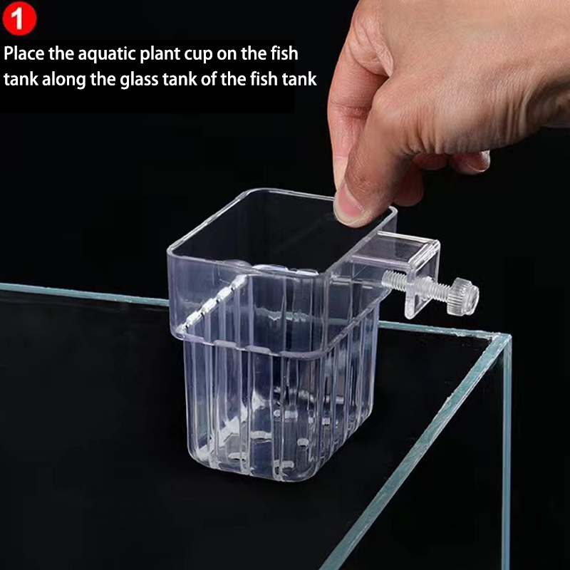 Tasse de plantation d'eau d'aq - Aquarium Planted Tank avis et prix