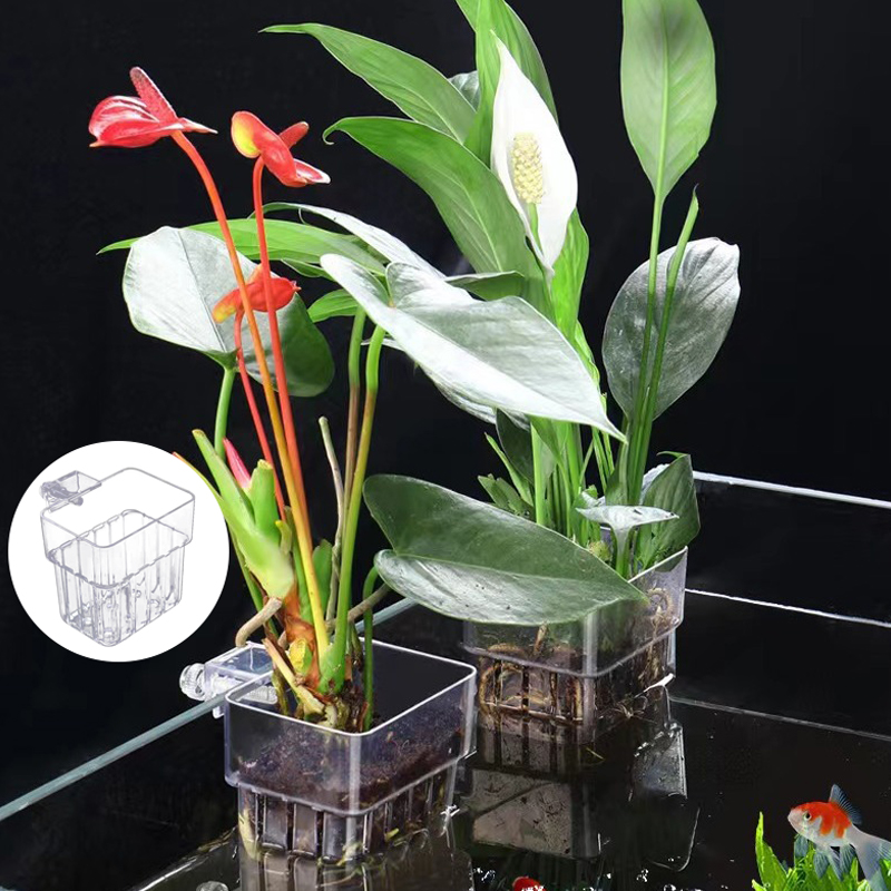 Tasse de plantation d'eau d'aq - Aquarium Planted Tank avis et prix