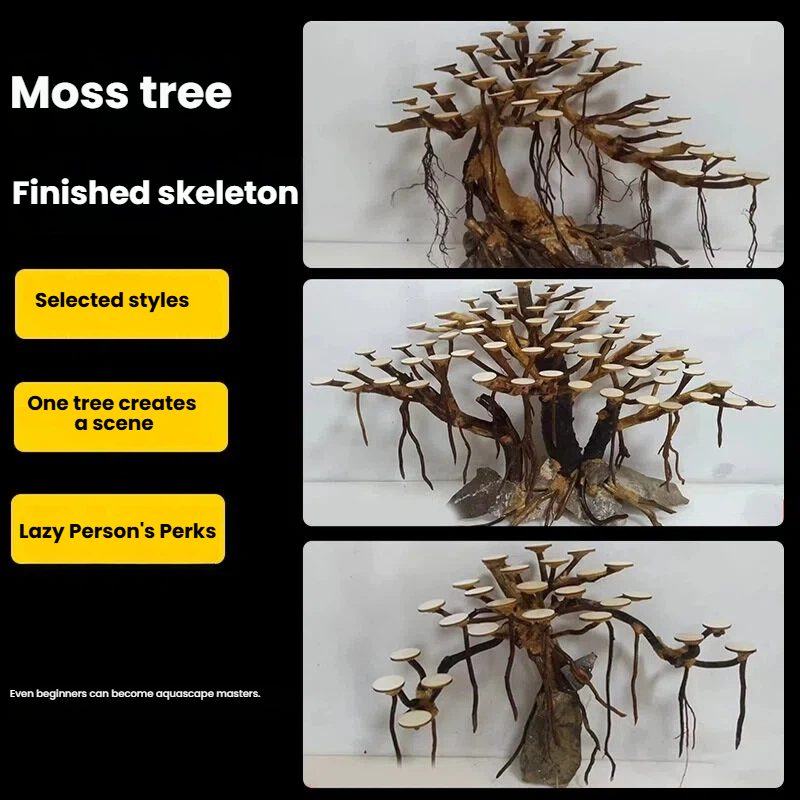 Décoration aquascaping : Ornem - Aquarium Planted Wood avis et prix