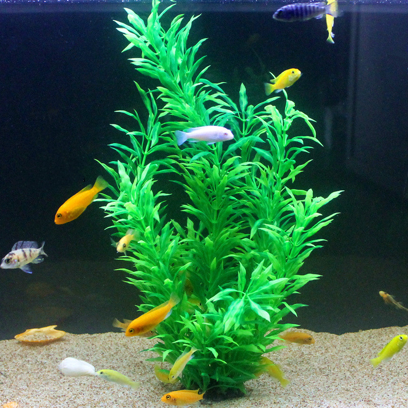 Plantes artificielles pour aqu - Aquarium Planted Tank avis et prix