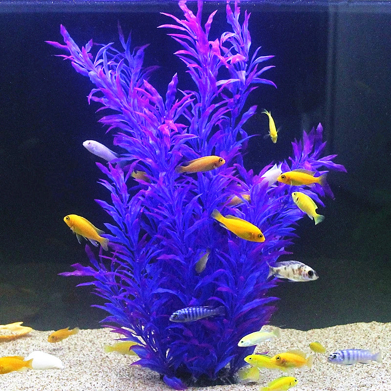 Plantes artificielles pour aqu - Aquarium Planted Tank avis et prix