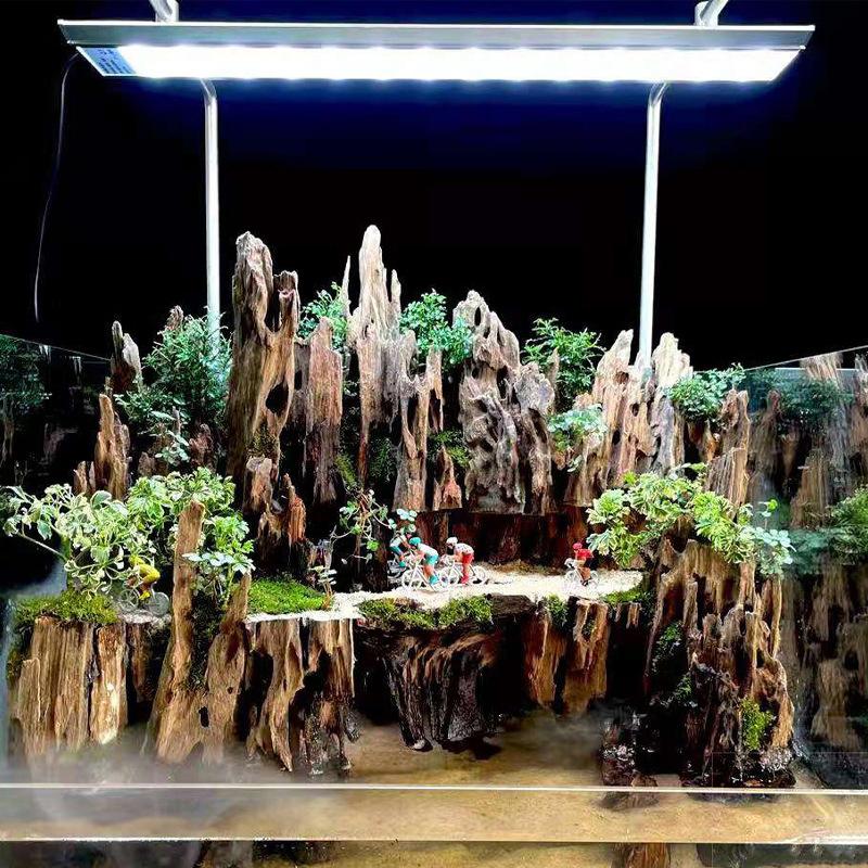 △   Décoration d'aquarium en b - Aquarium Planted Wood avis et prix