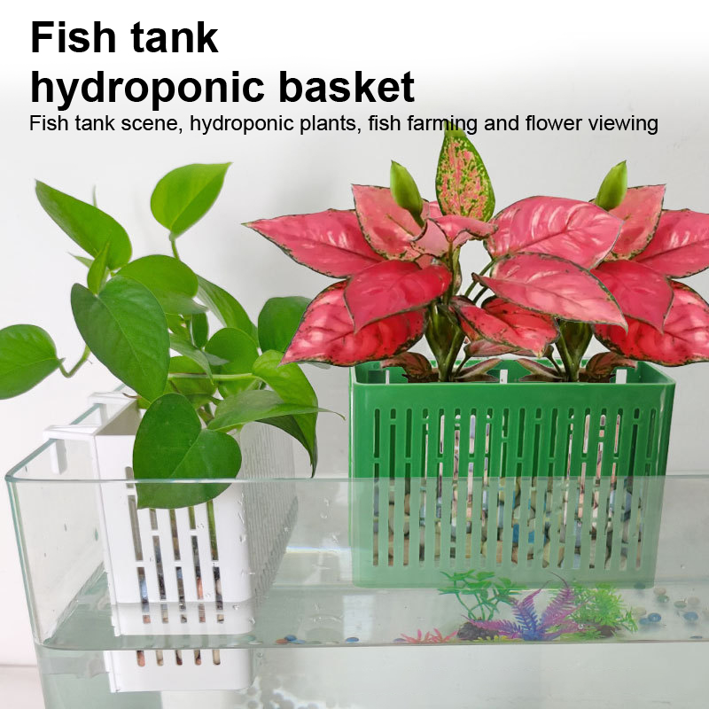 【F】Support suspendu pour aquar - Aquarium Planted Tank avis et prix