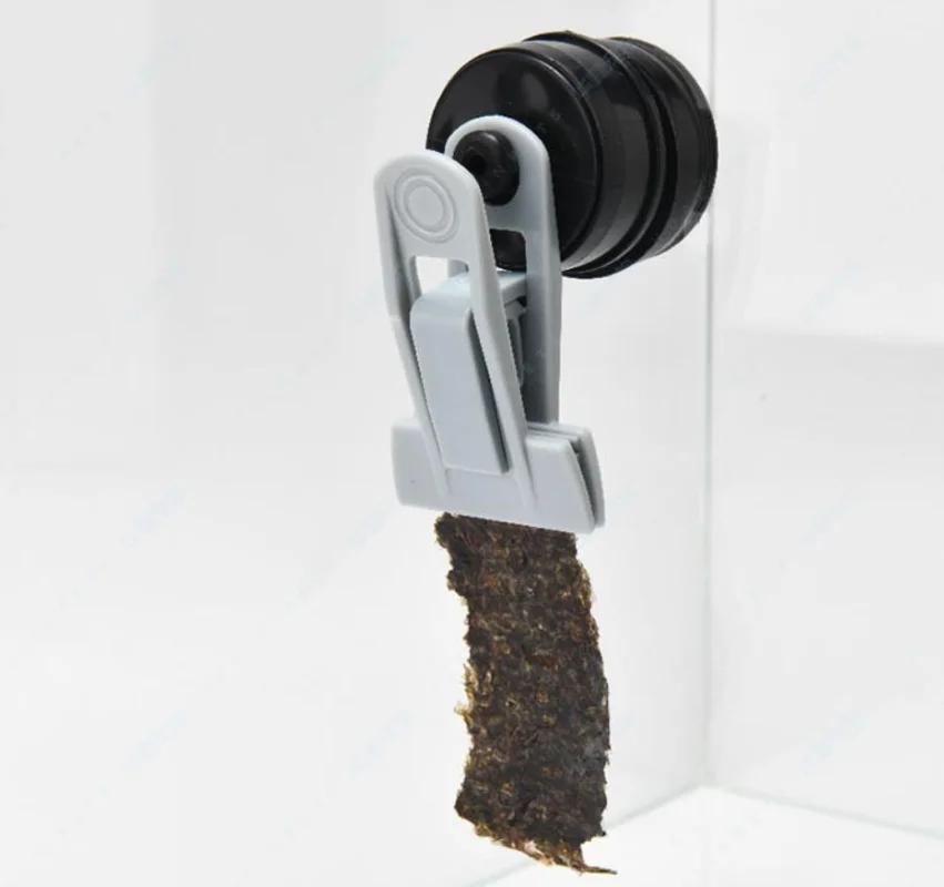 VastOcean-réinitialisation d'A - Aquarium Plant Diseases avis et prix